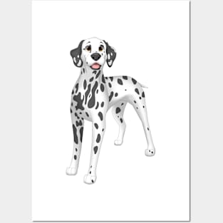 Dalmatian Dog Posters and Art